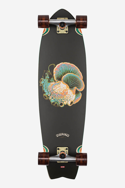 Globe Brand Chromantic - Bio-Morph