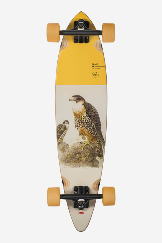Globe Brand Pintail 34 - Falcon