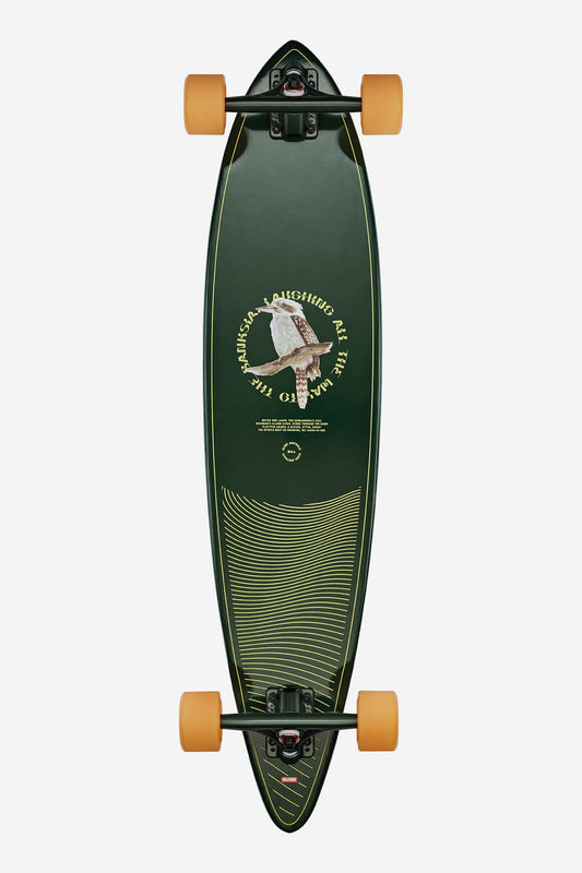 Globe Brand Pintail 37 - Kookaburra